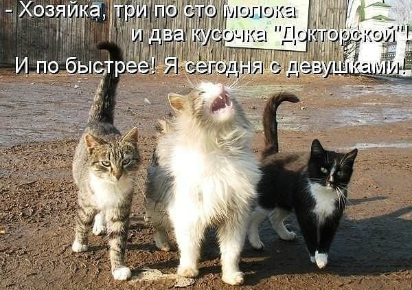 Мартовские котики-2