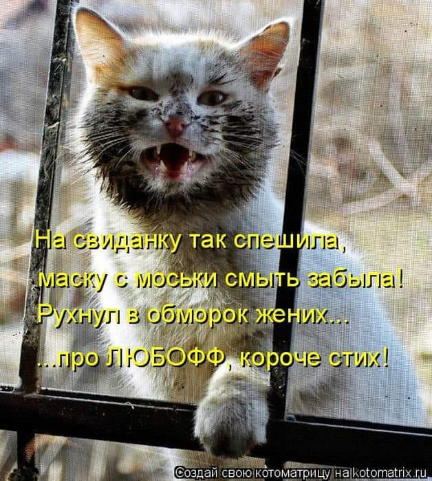 Мартовские котики-4