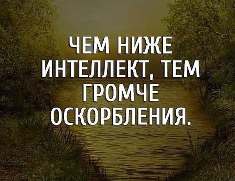 Как ответить на оскорбление смешно и сарказмом