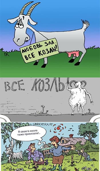 козлы