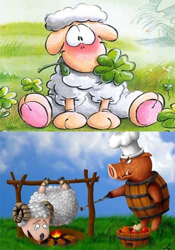 Бедный барашек