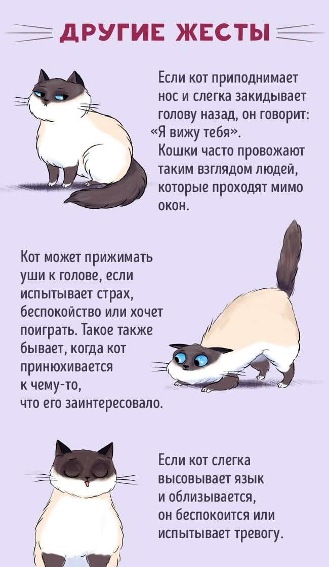 Другие жесты Другие жесты