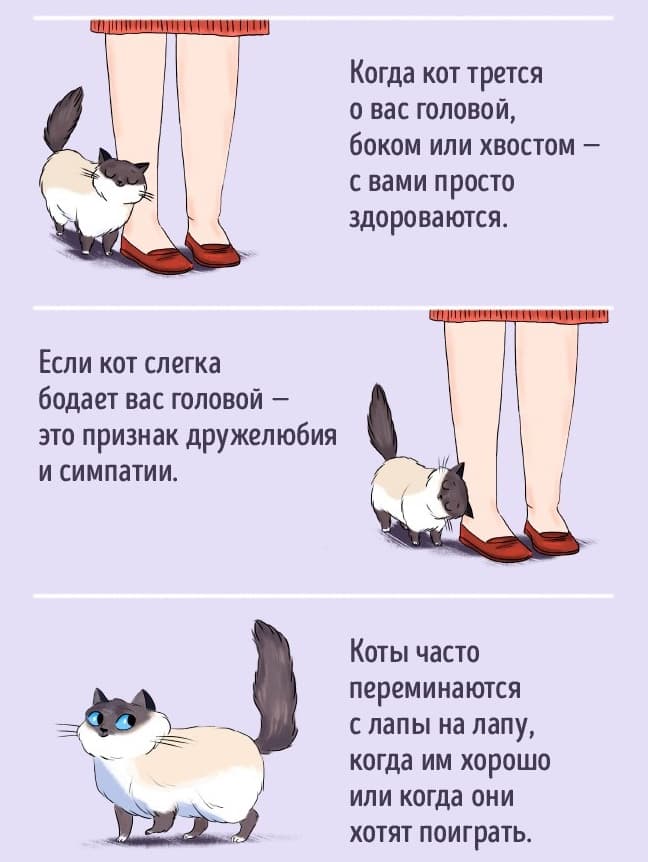 Взаимодействие с человеком Взаимодействие с человеком