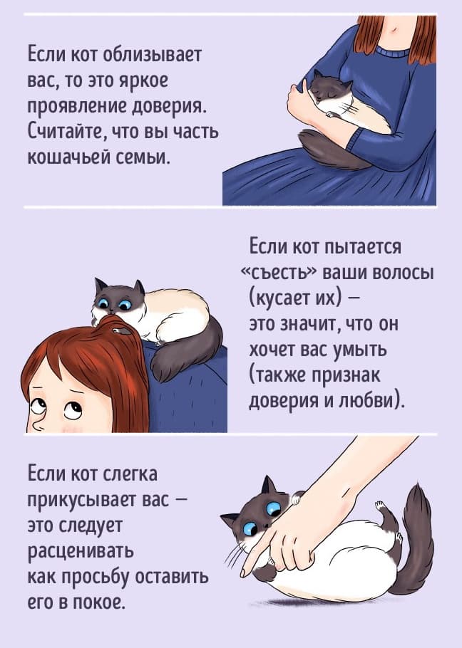 Взаимодействие с человеком Взаимодействие с человеком