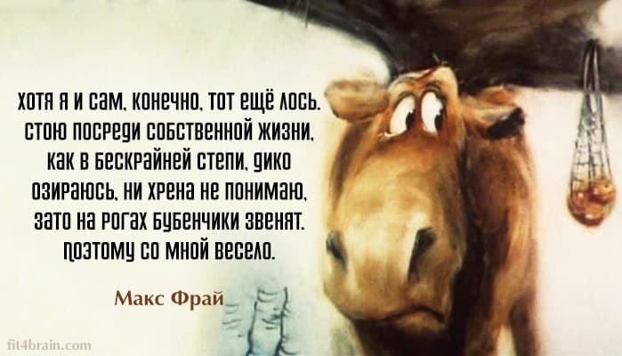 Тот ещё лось