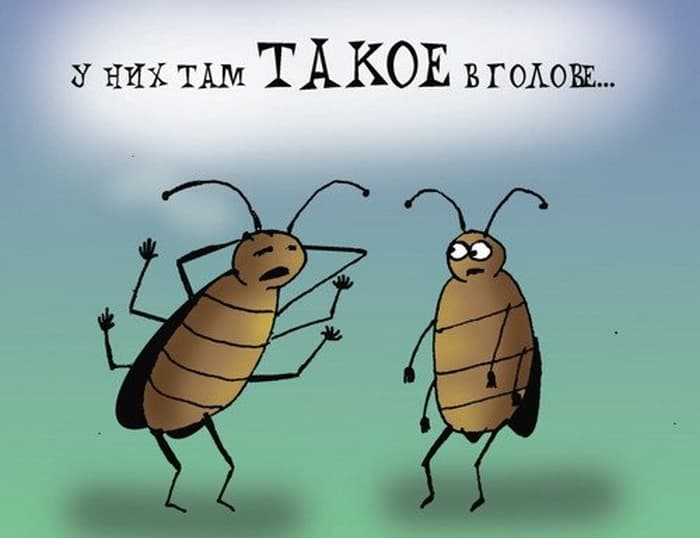 У них так такое в голове!!! У них так такое в голове!!!