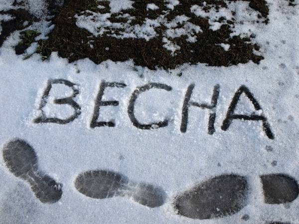 Весеннее