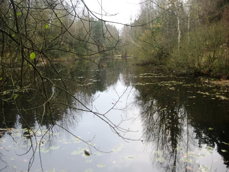 Заманивающая даль водной глади