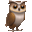 owl